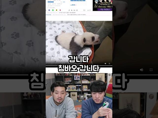 침바오