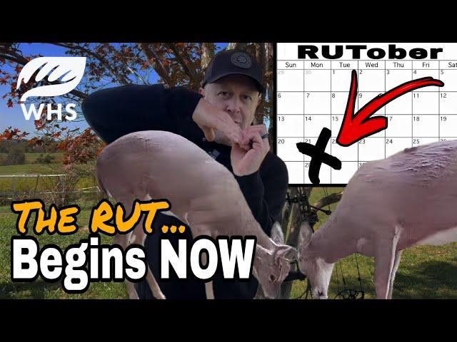 The Whitetail Rut Begins Now - Don't Miss Out!