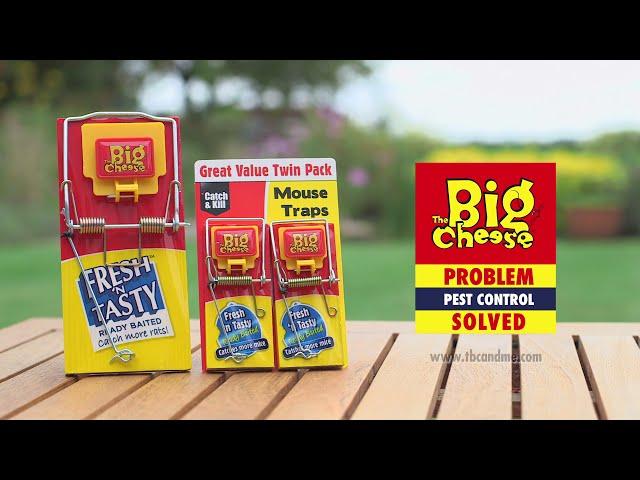 The Big Cheese Fresh Baited Rat Trap - STV195