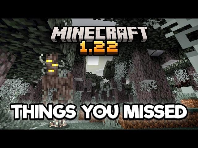 Why Do People Hate Minecraft 1.22 ALREADY?