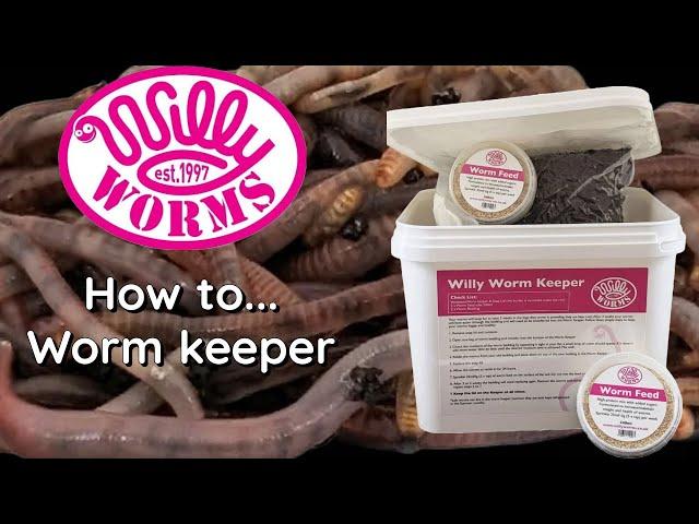 How Too ... willy worm keeper !! carp fishing.Catch loads of BIG carp and save money.