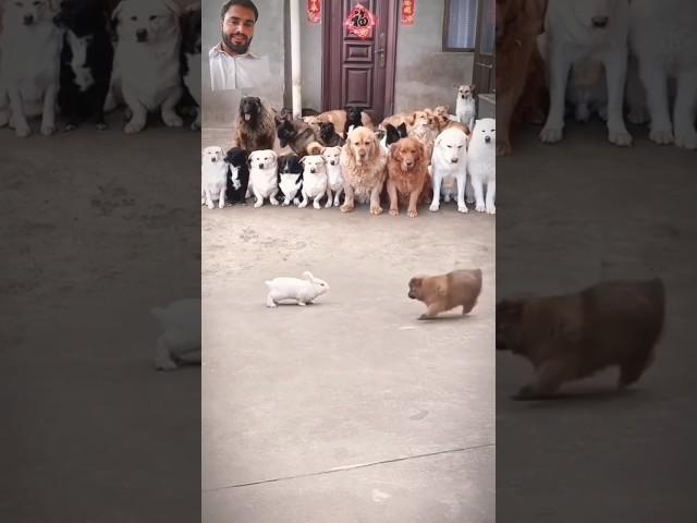 https://youtube.com/shorts/P4BlZkFqcqs?si=UbhocJQ0rRRJC3FI