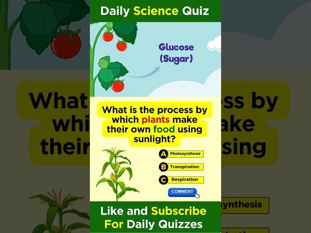 "Unveiling the Green Magic!  | Science Quiz Short" #shorts #sciencequiz #quiz