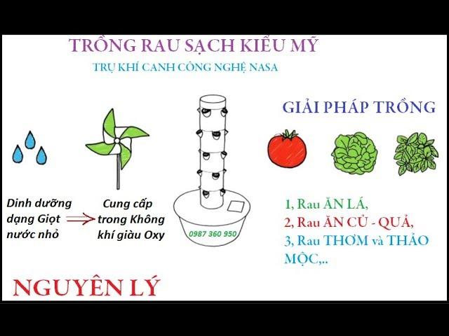 CÁCH MÔ HÌNH TRỤ KHÍ CANH RAU SẠCH HOẠT ĐỘNG - ĐỈNH CAO CÔNG NGHỆ TRỒNG RAU SẠCH