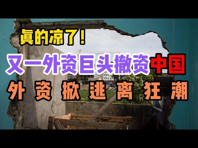 背叛！外资彻底抛弃中国！经济冷战！数万就业机会消失，税收大幅减少！政策大礼包无法挽回民营经济的颓势！中国企业家失望和逃离潮，年轻人的公务员热，国企和公务员的降薪潮！