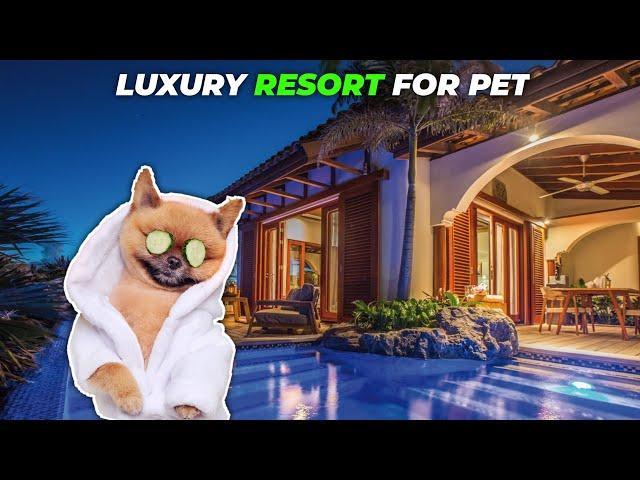 The Most Luxurious Animal Resorts in the World