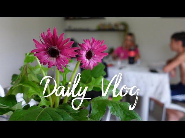 Daily Vlog - Sunday