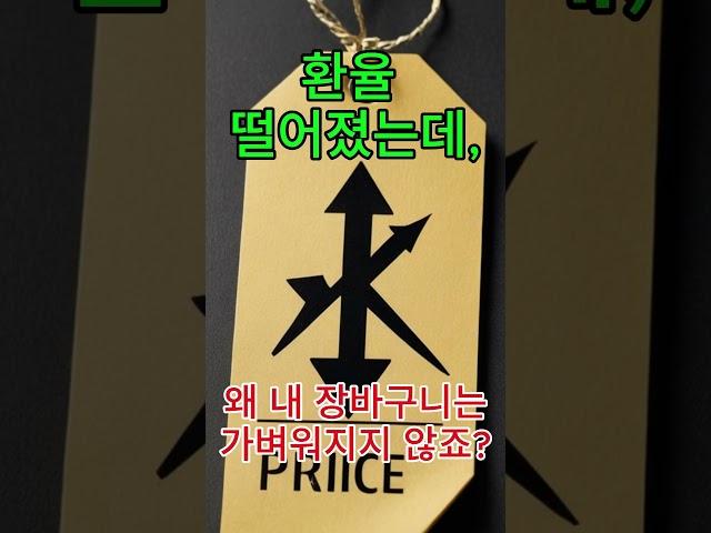 《환율 떨어졌는데, 왜 내 장바구니는 가벼워지지 않죠?》#환율 #물가 #체감물가 #경제상식 #2025경제 #돈의흐름연구소