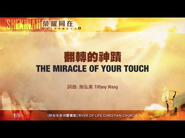 翻轉的神蹟 The Miracle of Your Touch（生命河敬拜讚美系列 8「Shekinah榮耀同在」)  小組敬拜用