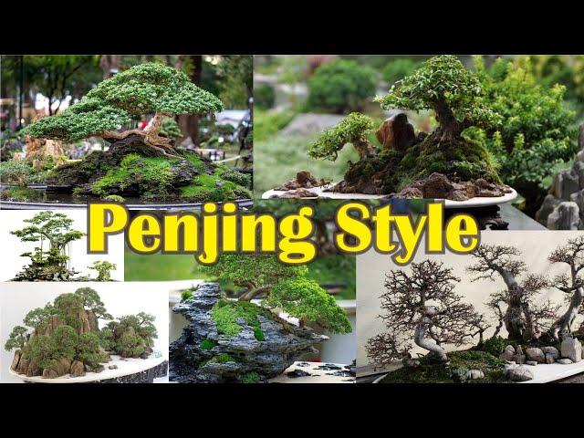 Bonsai Penjing