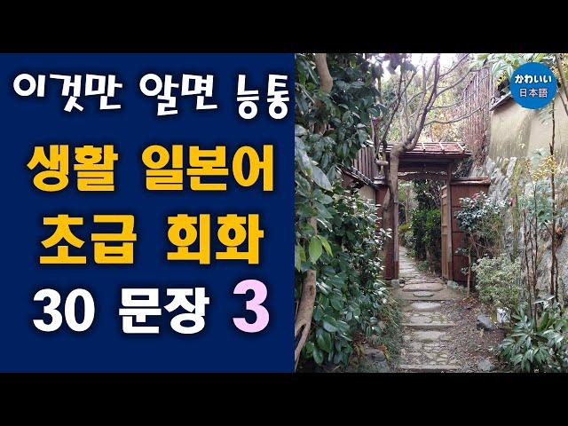 이것만 알면 일본어 능통 - 생활 일본어 초급 회화 30 문장 3 (61~90)