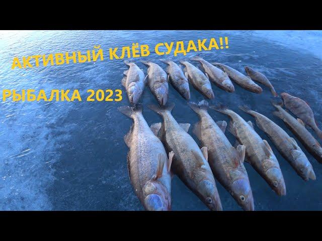 Рыбалка в Казахстане. ВЕСЕННИЙ ЖОР НАЧАЛСЯ! Рыбалка 2023