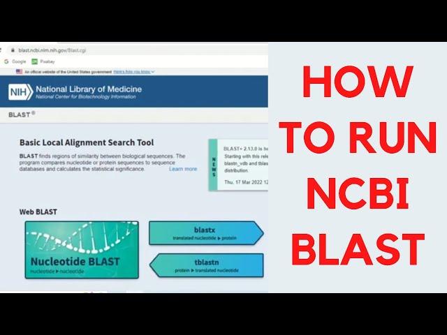 How to run NCBI blast | NCBI blast tutorial | How to perform or use blast practically