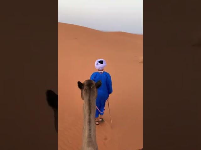 Alone in the Sahara Desert, Morocco.