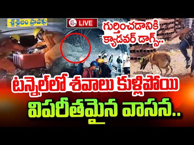 SLBC Tunnel Latest Updates : SLBC రంగం లోకి క్యాడవర్ డాగ్స్..  | Telangana Tunnel Rescue Operation