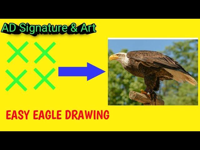 How To Draw An Eagle With 4X | How to draw a Flying Eagle easy