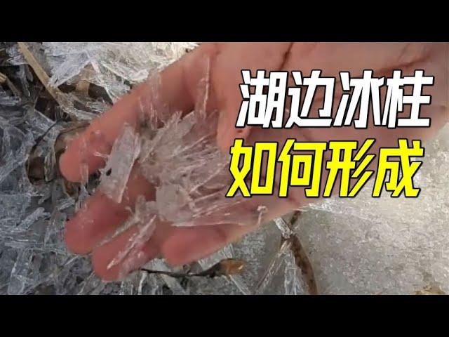 网友湖边凿冰，却挖出大把冰柱，形成原因令人寒心【萌萌战队】