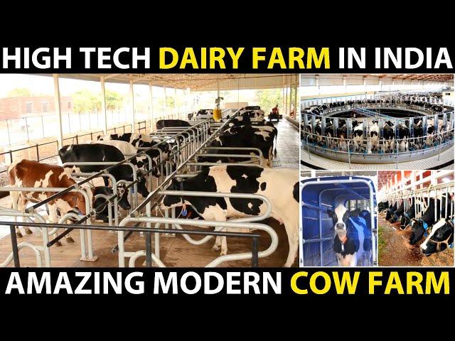 High Tech Dairy Farm in India | Fully Automated Modern Cow Farm | Amazing Cattle Farming Technology