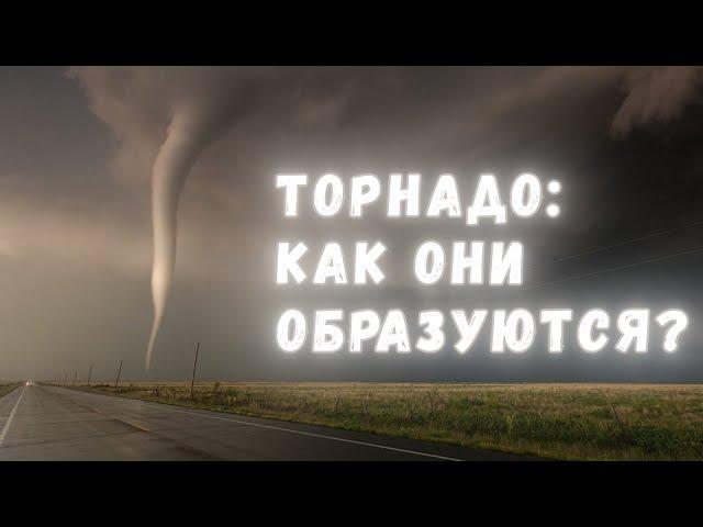 Торнадо: как и почему они образуются?