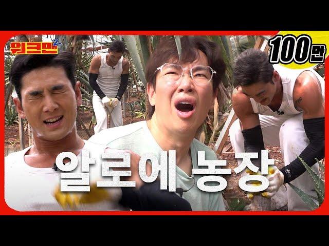 Exhausted from shoveling and uprooting in Jeju-do ‍ Aloe farm | Baekho | Workman 2