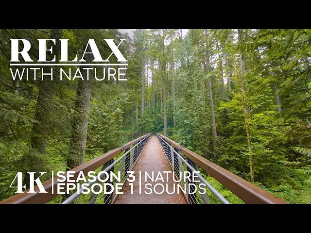 4K Incredible Wildlife Shots + Calming Sounds - RELAX WITH NATURE - Season 3; Episode 1