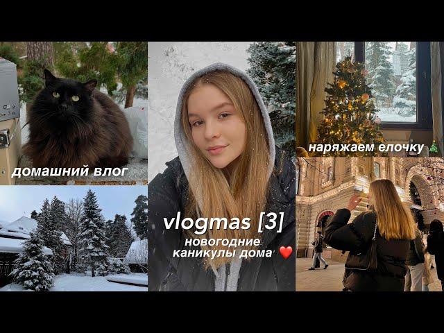 vlogmas [3]: новогодние каникулы // украшение дома к Новому году