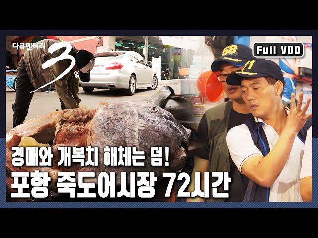[다큐3일풀버전] 푸른 바다의 '싱싱함'이 이곳에 모인다! 동해안 최대 어시장 "경북 포항 죽도어시장" 72시간~ (KBS 20170813 방송)