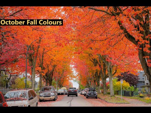 October Fall Colors in Vancouver, Canada