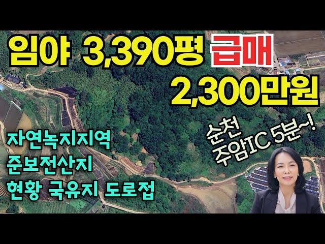 [임야/급매매]자연녹지지역/준보전산지 임야3,390평, 임야급매물,  임야매물, 임야매매 전국싼땅, 전남 순천시 주암면 갈마리 주암ic인근/ 럭셔리정TV 010-3614-8347