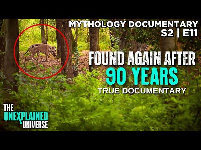 The Tasmanian Tiger Is NOT Extinct | Thylacine | Mythology Documentary | Boogeymen | S2E11