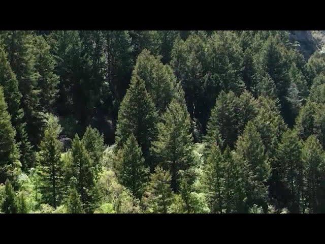 Mike Lee's public lands sale, Utah lawmakers briefed on protest shooting