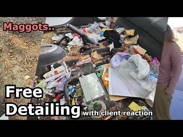 Car Full of MAGGOTS. LITERALLY. (with Client Reaction)