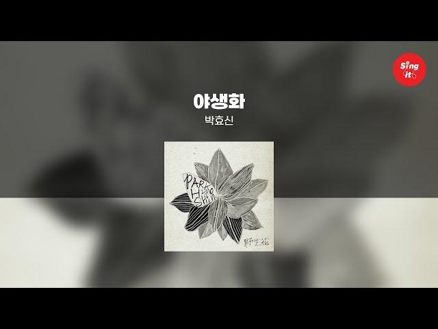 야생화 - 박효신 (고퀄리티 MRㅣ멜로디 포함 | 가사 Kor+Rom) 싱잇 노래방, Singit Karaoke