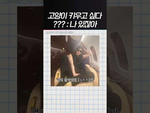 [제로베이스원] 심리키 고양이설