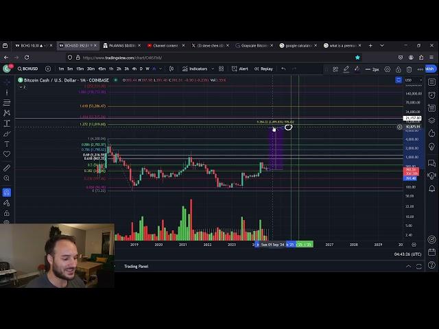 Grayscale Trust BCHG and LTCN All Time High Breakdown