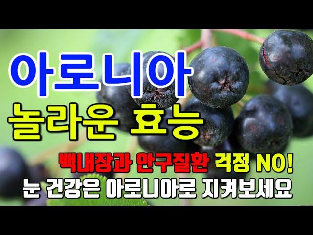 아로니아의 놀라운 효능 8가지 & 부작용 / 백내장과 안구질환 걱정 NO!  백내장과 안구질환을 걱정하는 사람들을 위한 자연의 치료법