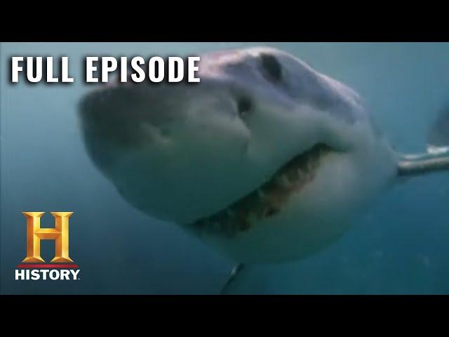 MonsterQuest: TERRIFYING 60 FOOT SHARK - Full Episode (S3, E7) | History