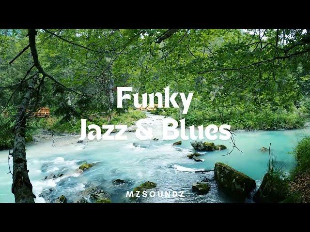 Flowing Valleys  & Funky Jazz & Blues Vibes 