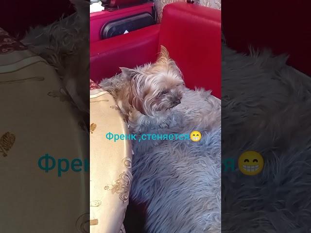 Френк