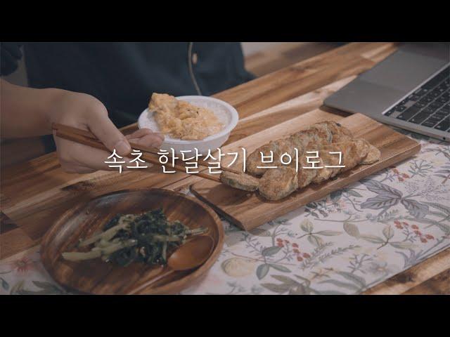 30만원으로 속초 한달살기 8일차 l 국내 여행 브이로그 l 강원도 #한달살기