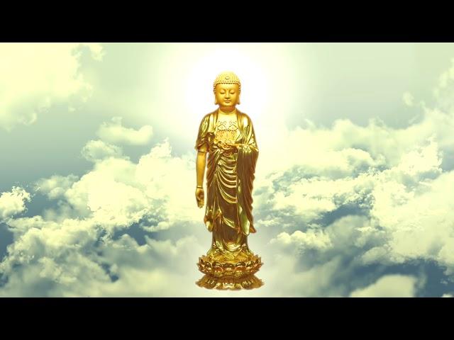 阿彌陀佛 Amitabha 聖號 淨空老法師念佛 3小時（快速版）觀像 HD 1080p 720p