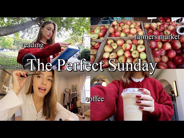 SUNDAY RESET VLOG  grocery shopping, errands, etc.