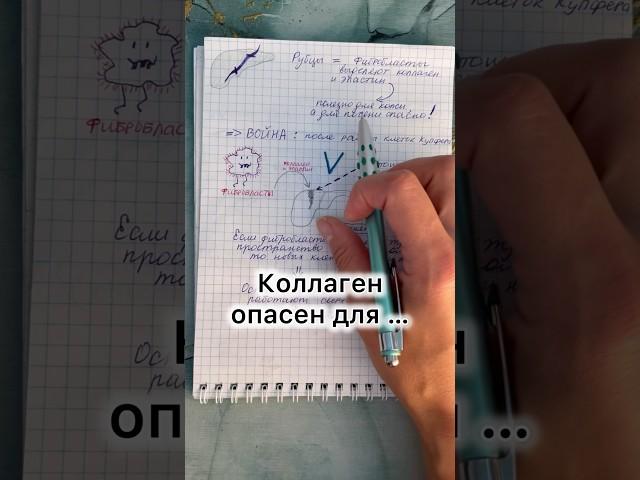 Когда коллаген опасен для печени?