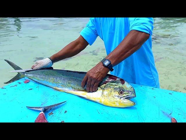 AMAZING INDIAN OCEAN FRESH MAHI MAHI FISH CUTTING SKILLS | FISH CUTTING MALDIVES