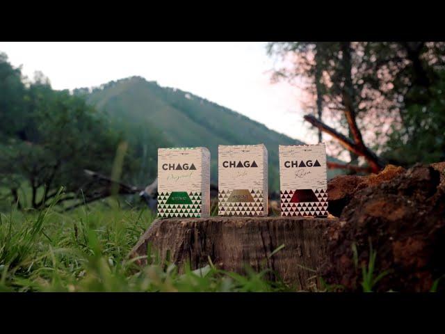 Chaga extract Visterra