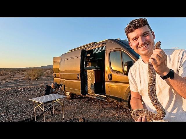 Cooking Rattlesnake, Vanlife Camping In the Desert | 111°F