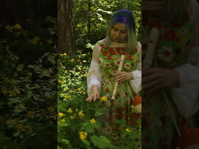 #harp #nature #folkmusic #recorder #flute #russianfolkmusic #slavic #slaviccore #forest #girls #song