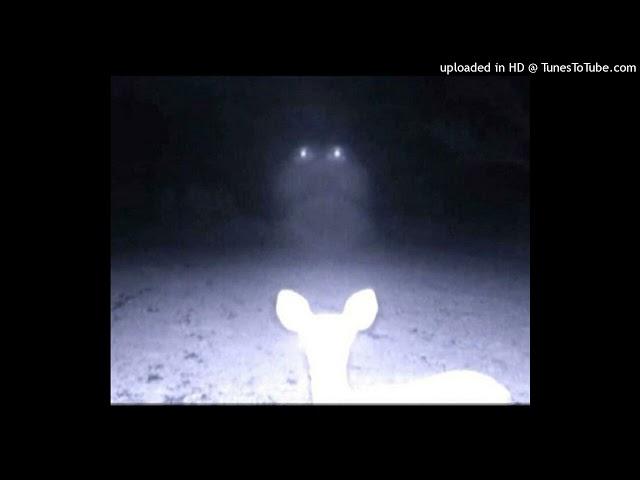 whisper - wisp + elusin + glare shoegaze type beat