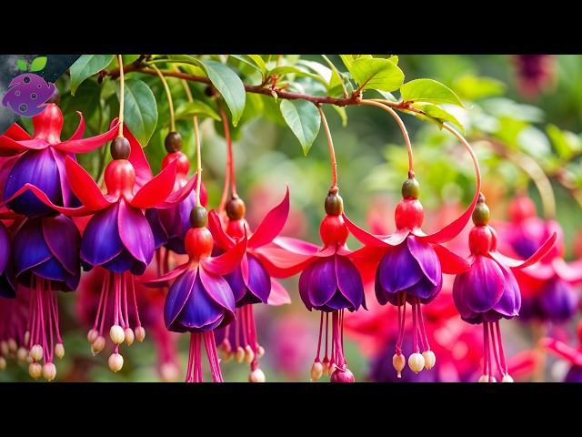 The 25 Most Beautiful Flowers in the World | Stunning Blooms You Need to See!