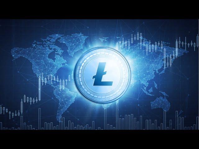 Litecoin HALVING Update! A Look Behind The Scenes...